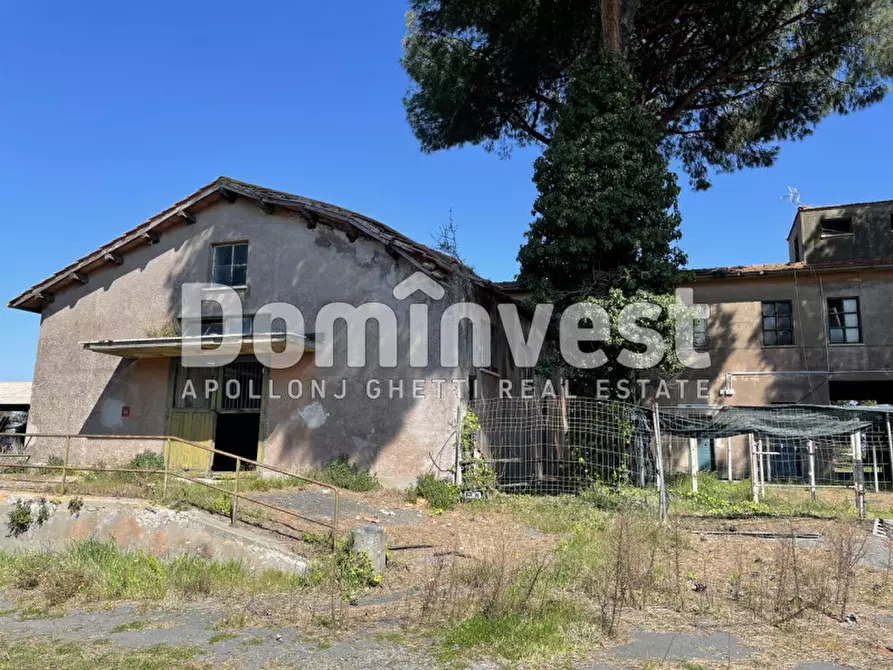 Immagine 22 di Villa in vendita  in viale della Repubblica a Marino