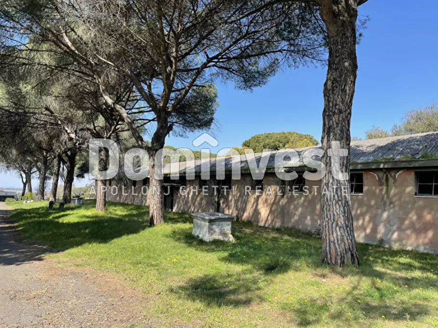 Immagine 25 di Villa in vendita  in viale della Repubblica a Marino