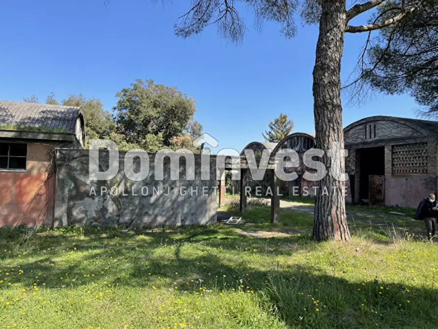 Immagine 26 di Villa in vendita  in viale della Repubblica a Marino