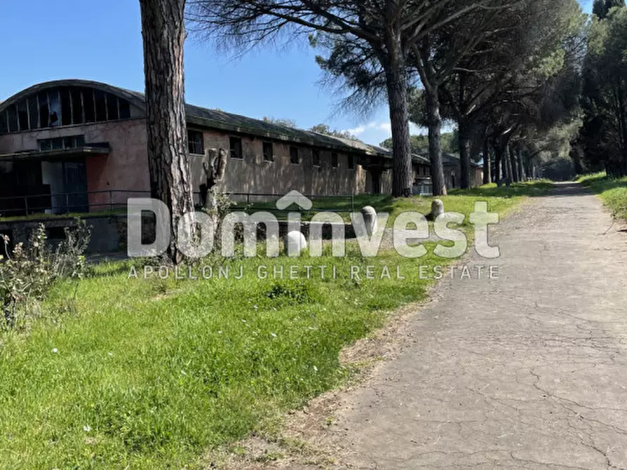 Immagine 27 di Villa in vendita  in viale della Repubblica a Marino