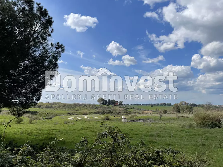 Immagine 30 di Villa in vendita  in viale della Repubblica a Marino