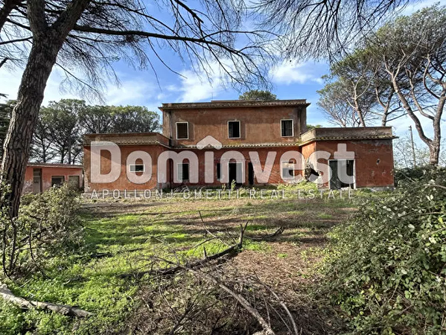 Immagine 31 di Villa in vendita  in viale della Repubblica a Marino