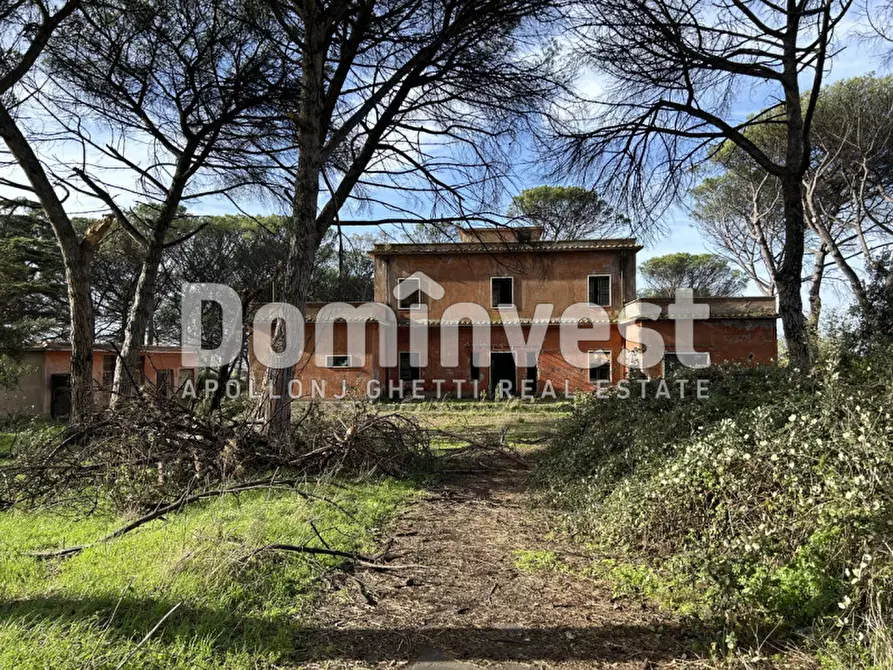 Immagine 36 di Villa in vendita  in viale della Repubblica a Marino