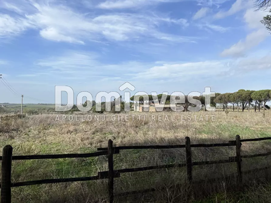 Immagine 38 di Villa in vendita  in viale della Repubblica a Marino