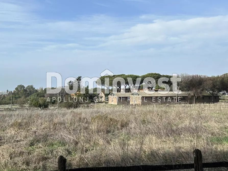 Immagine 40 di Villa in vendita  in viale della Repubblica a Marino