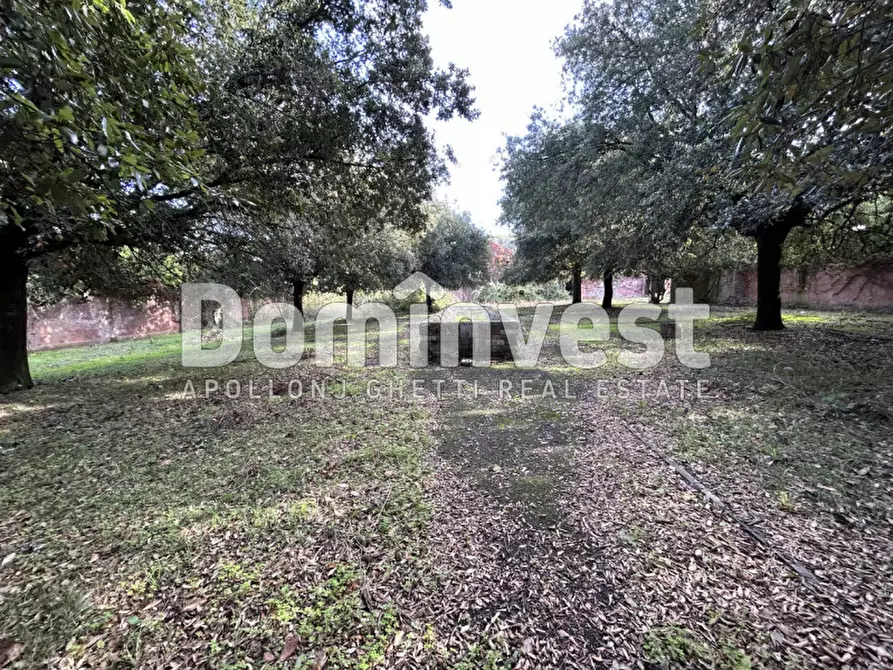 Immagine 42 di Villa in vendita  in viale della Repubblica a Marino