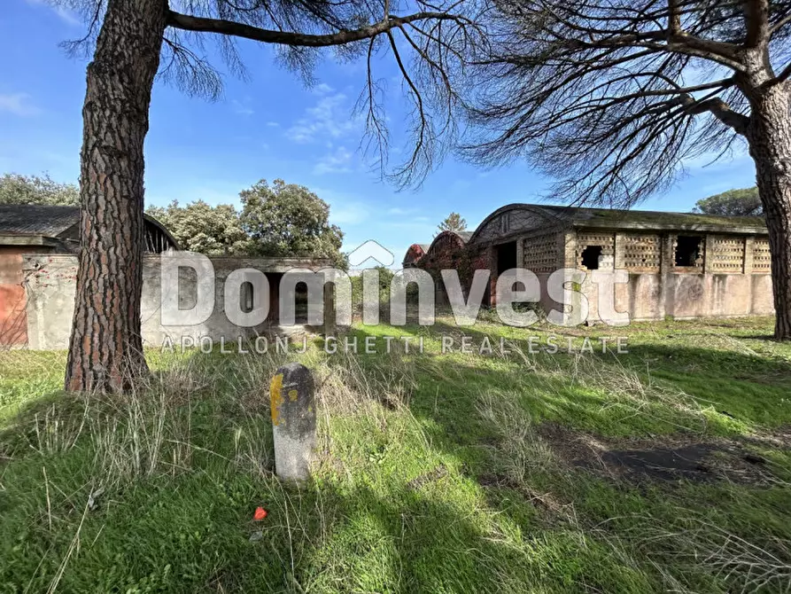 Immagine 48 di Villa in vendita  in viale della Repubblica a Marino