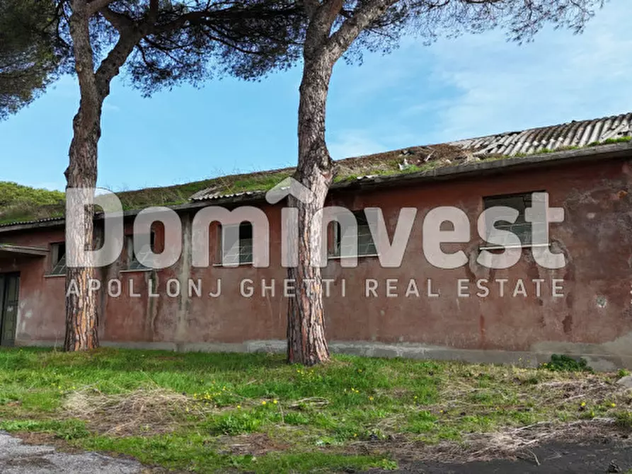 Immagine 49 di Villa in vendita  in viale della Repubblica a Marino