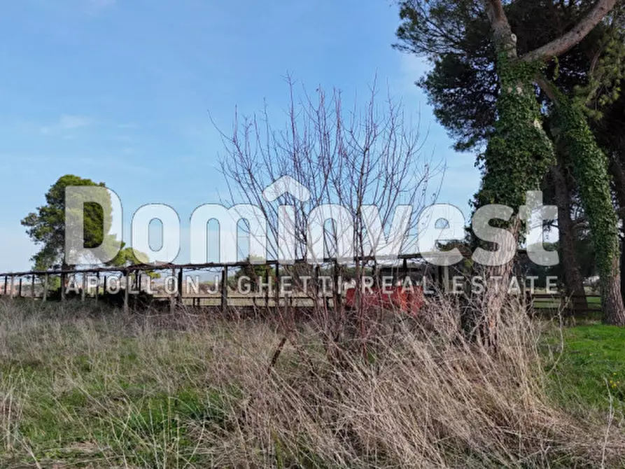 Immagine 51 di Villa in vendita  in viale della Repubblica a Marino