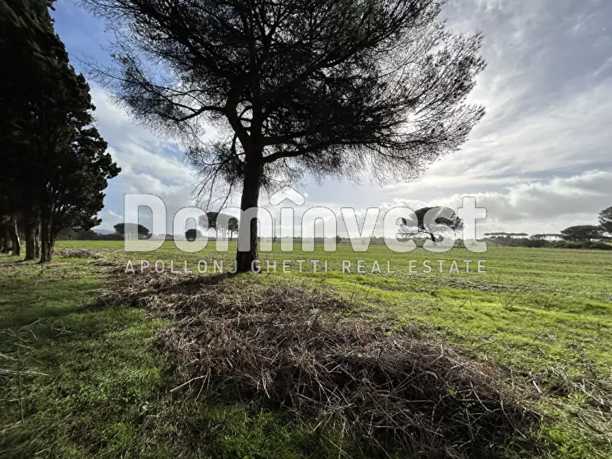 Immagine 53 di Villa in vendita  in viale della Repubblica a Marino