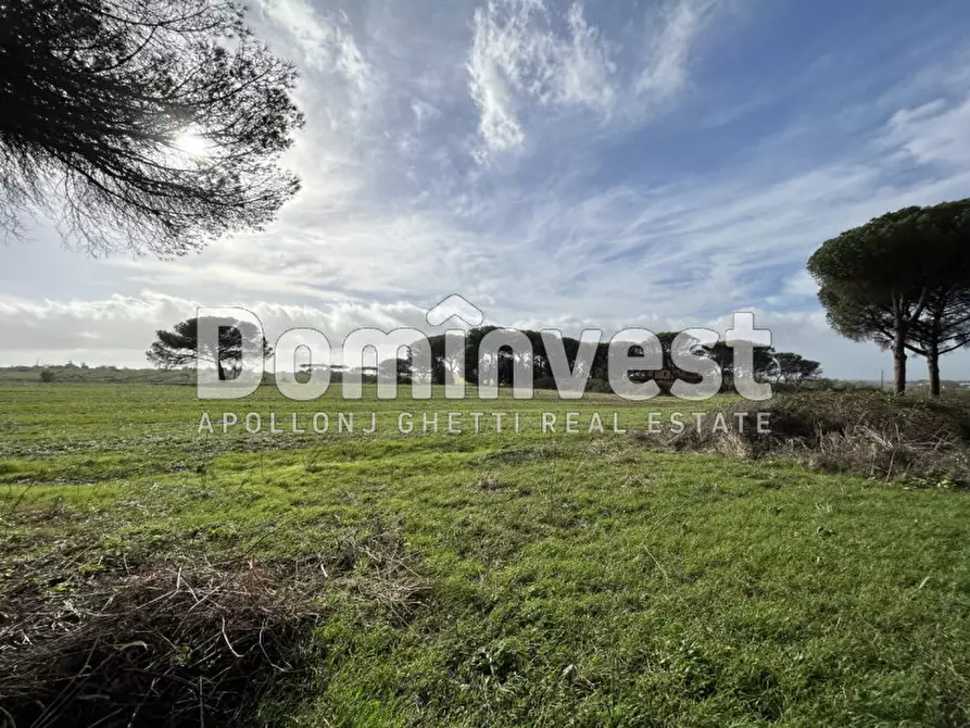 Immagine 54 di Villa in vendita  in viale della Repubblica a Marino