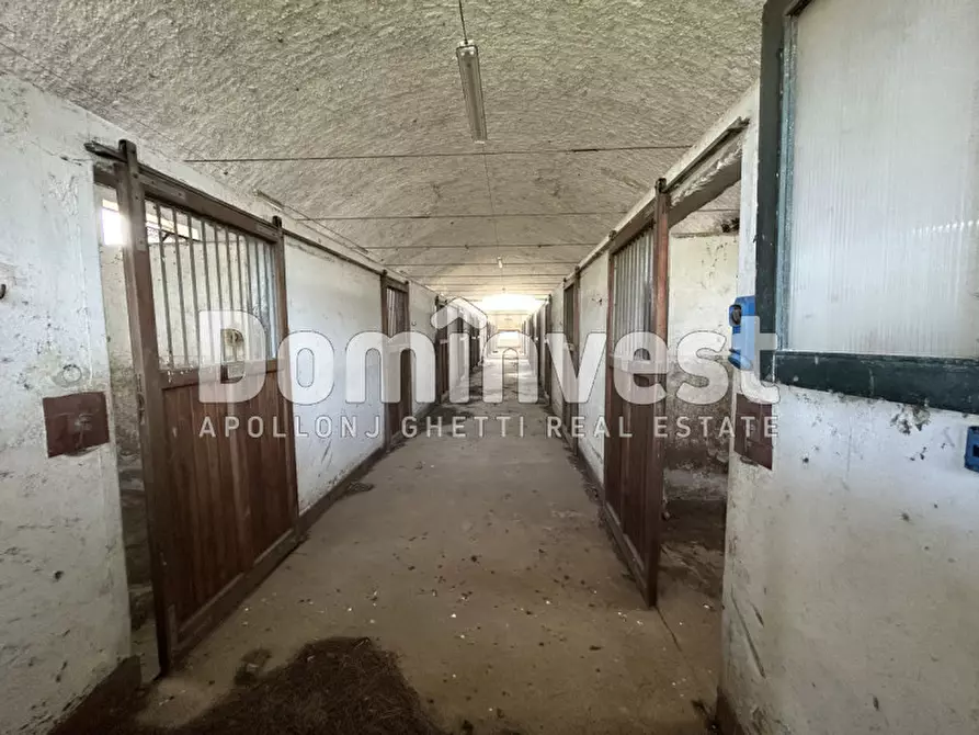 Immagine 59 di Villa in vendita  in viale della Repubblica a Marino