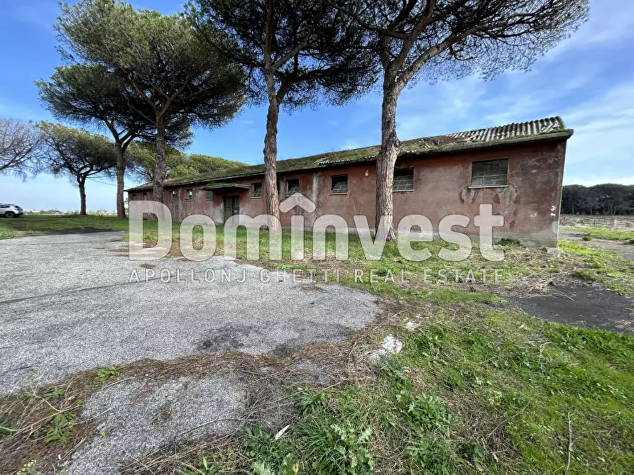 Immagine 62 di Villa in vendita  in viale della Repubblica a Marino