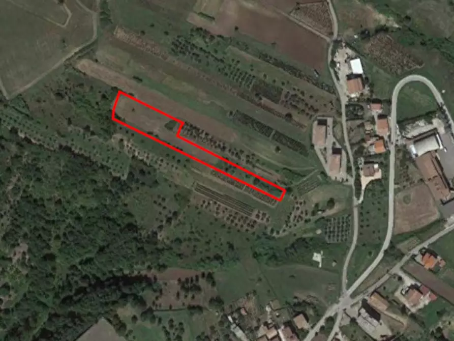 Immagine 1 di Terreno in vendita  in Frazione Scalera, N. snc a Filiano