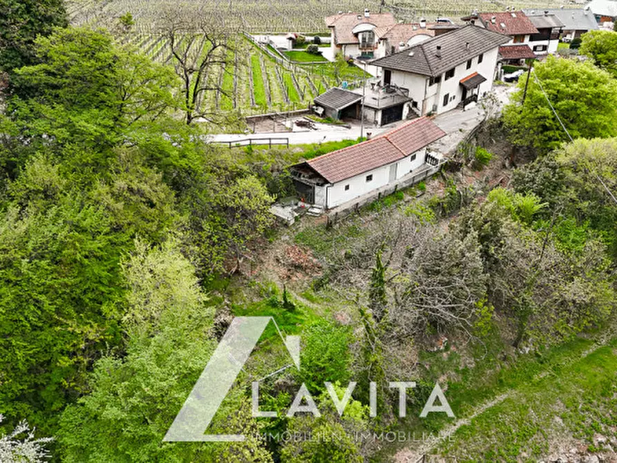 Immagine 8 di Casa indipendente in vendita  in via Colli Sant´Anna a Roverè Della Luna