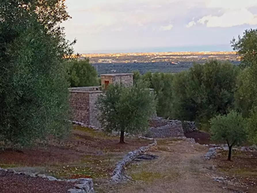 Immagine 1 di Rustico / casale in vendita  a Fasano