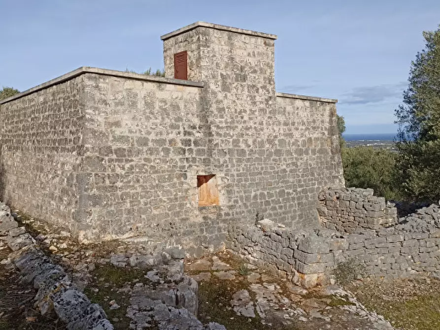 Immagine 2 di Rustico / casale in vendita  a Fasano
