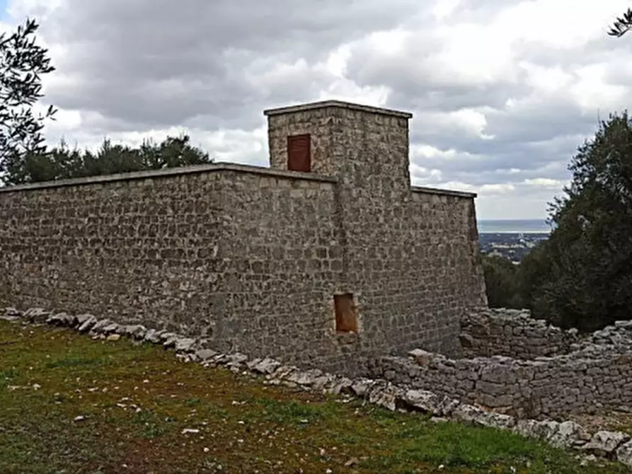 Immagine 3 di Rustico / casale in vendita  a Fasano