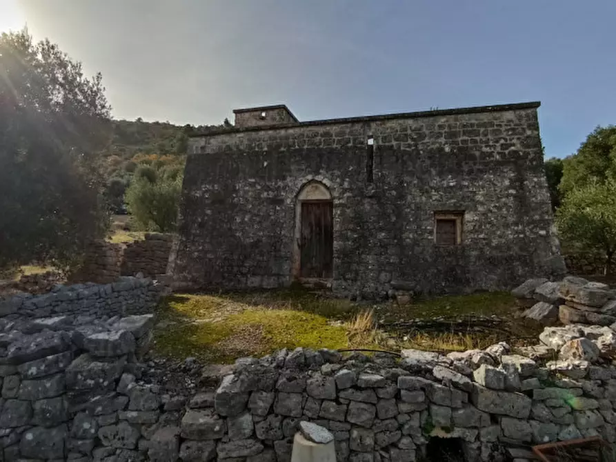 Immagine 4 di Rustico / casale in vendita  a Fasano
