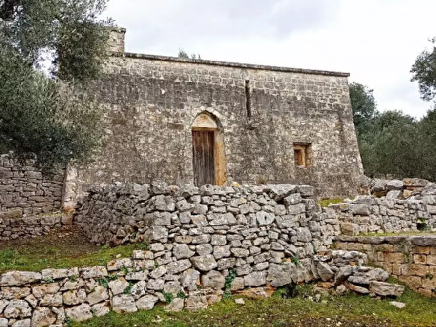 Immagine 5 di Rustico / casale in vendita  a Fasano