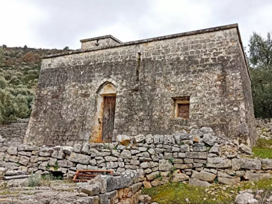 Immagine 6 di Rustico / casale in vendita  a Fasano