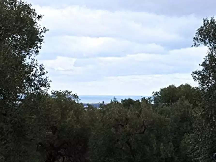 Immagine 10 di Rustico / casale in vendita  a Fasano