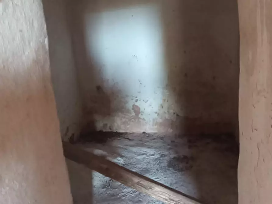 Immagine 16 di Rustico / casale in vendita  a Fasano