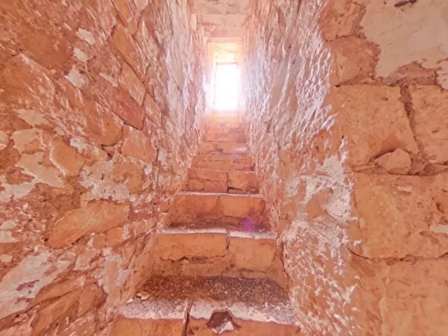 Immagine 17 di Rustico / casale in vendita  a Fasano