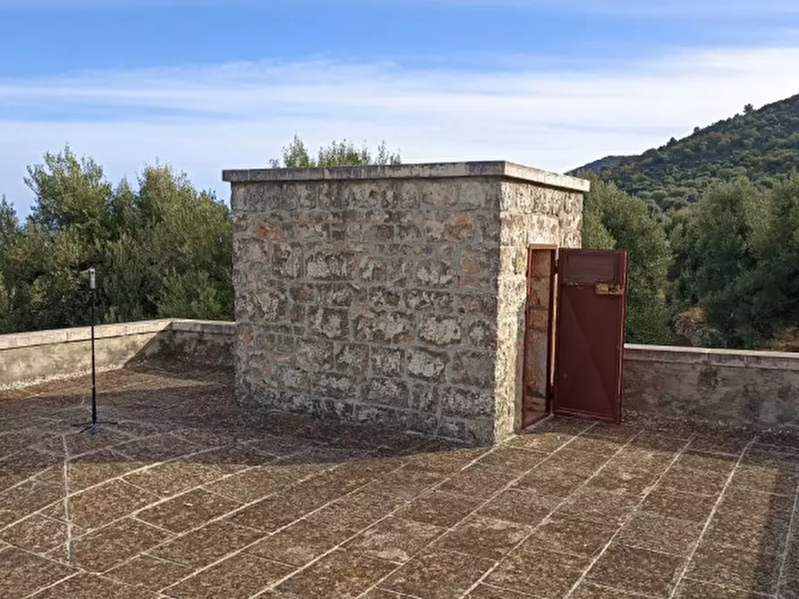 Immagine 20 di Rustico / casale in vendita  a Fasano