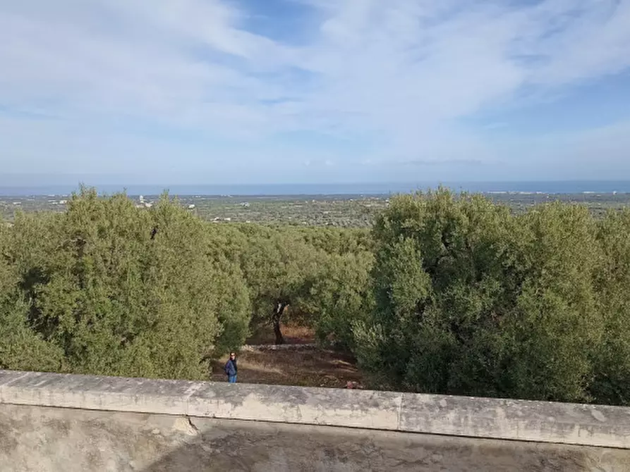 Immagine 21 di Rustico / casale in vendita  a Fasano