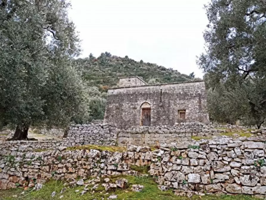 Immagine 23 di Rustico / casale in vendita  a Fasano