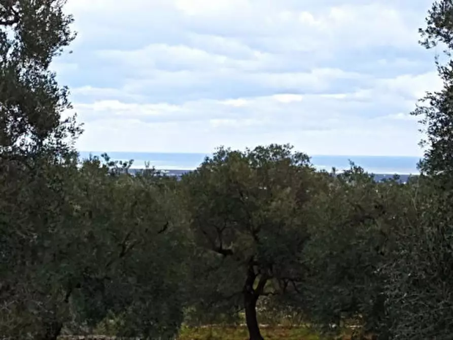 Immagine 24 di Rustico / casale in vendita  a Fasano