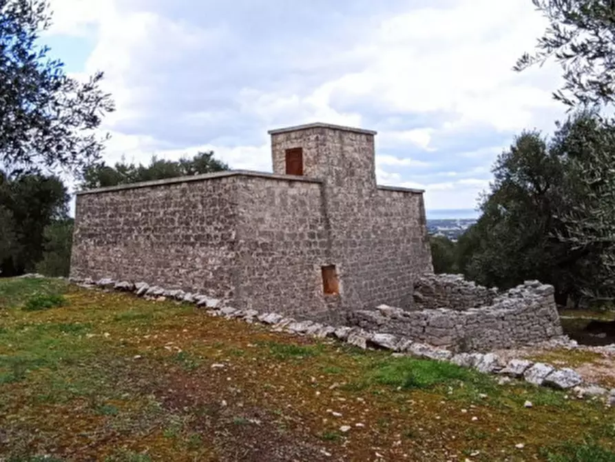 Immagine 25 di Rustico / casale in vendita  a Fasano