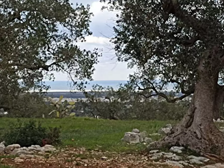 Immagine 26 di Rustico / casale in vendita  a Fasano