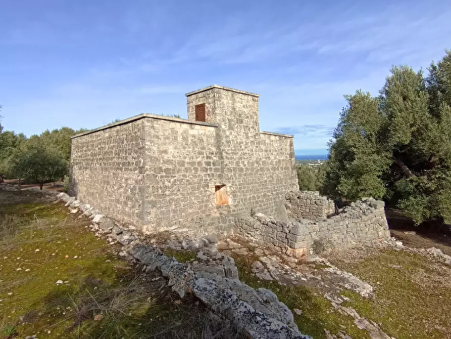 Immagine 28 di Rustico / casale in vendita  a Fasano