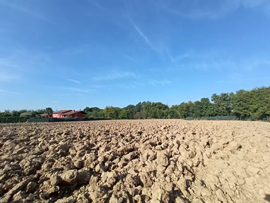 Immagine 1 di Terreno in vendita  in Via Ca' Rossa a Limena