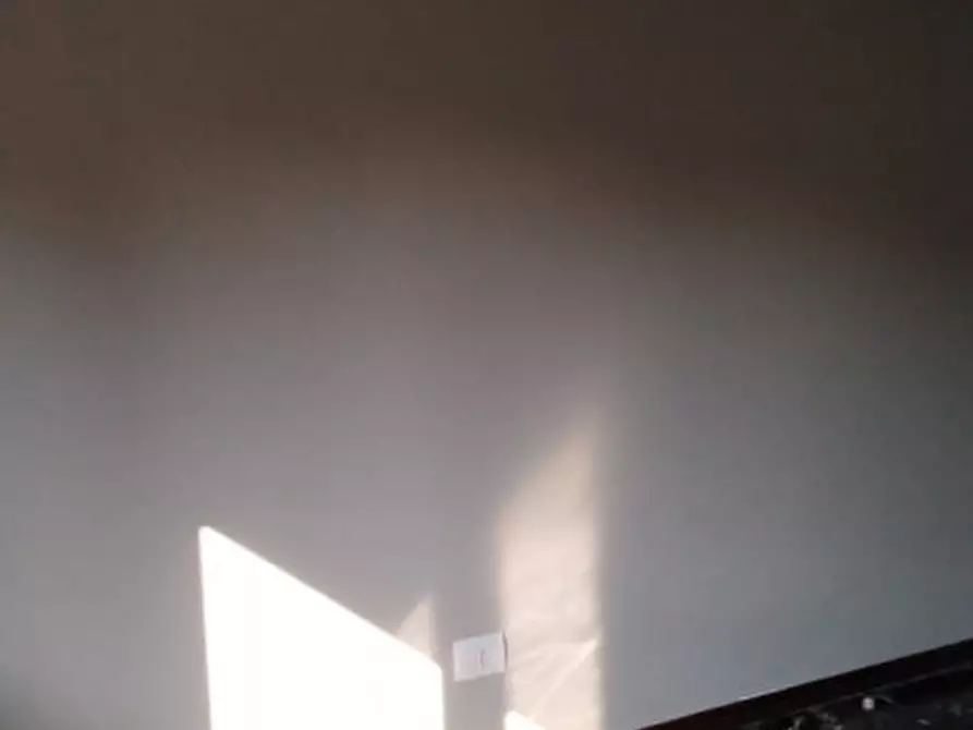 Immagine 36 di Appartamento in affitto  in via Roma 25 a Colorno