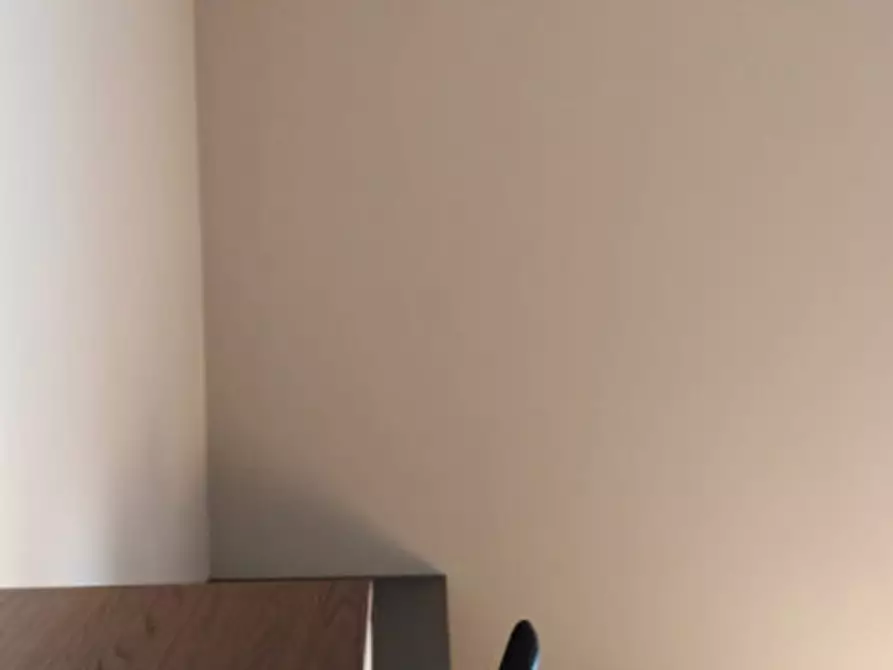 Immagine 49 di Appartamento in affitto  in via Roma 25 a Colorno