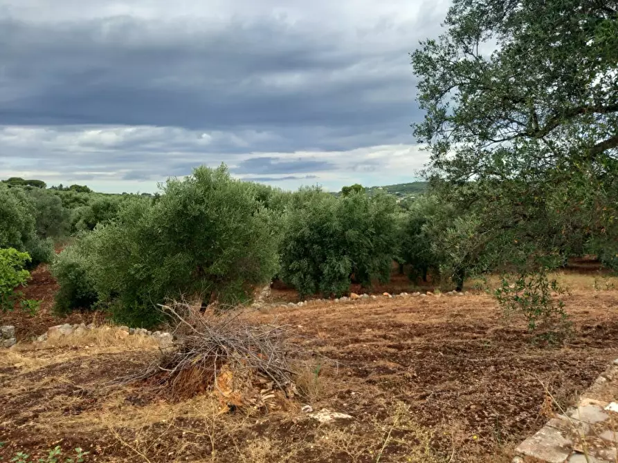 Immagine 7 di Rustico / casale in vendita  in C.da Vallegna a Ostuni