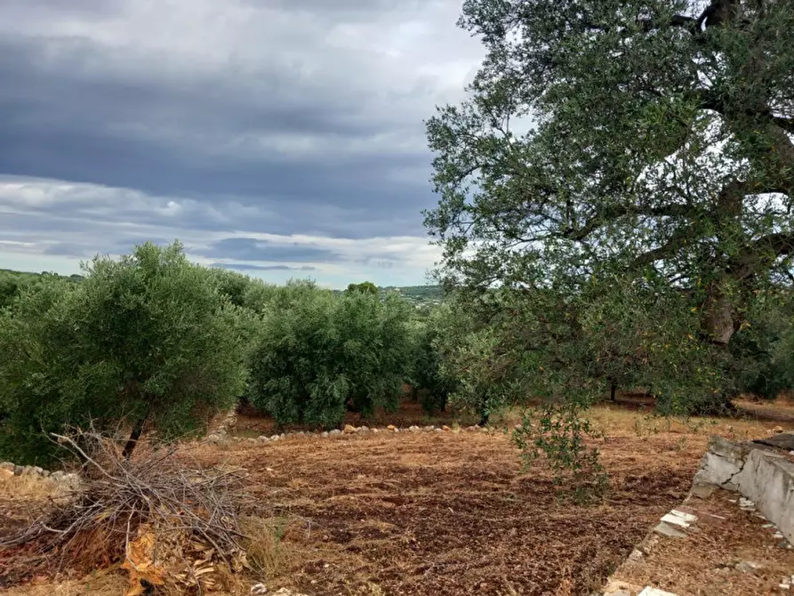 Immagine 8 di Rustico / casale in vendita  in C.da Vallegna a Ostuni