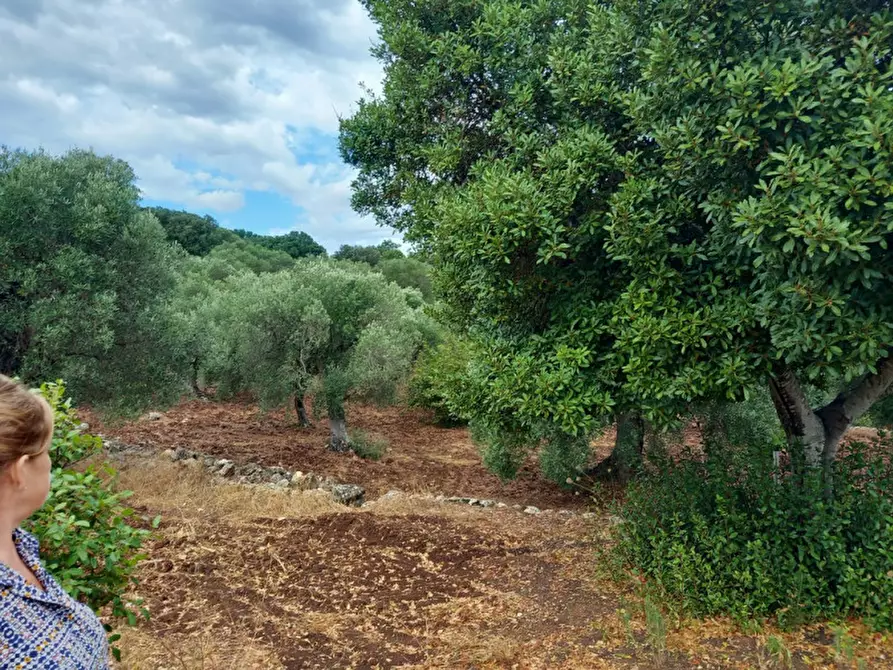 Immagine 16 di Rustico / casale in vendita  in C.da Vallegna a Ostuni