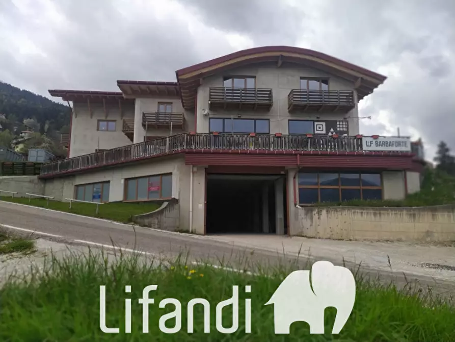 Immagine 2 di Capannone industriale in vendita  in via aprile a Folgaria