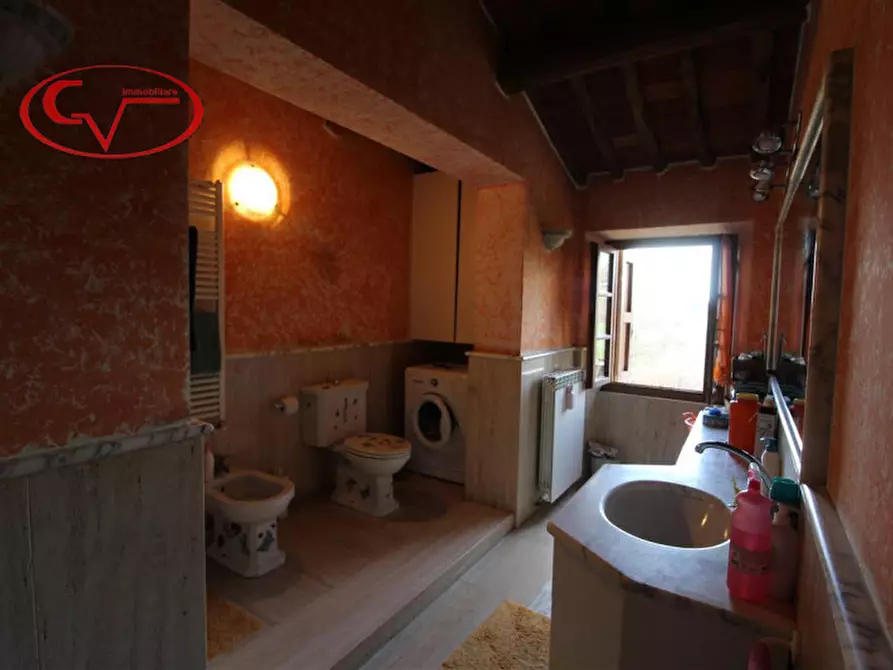 Immagine 6 di Rustico / casale in vendita  in traiana a Terranuova Bracciolini