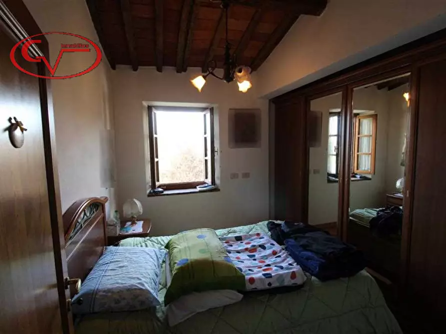 Immagine 9 di Rustico / casale in vendita  in traiana a Terranuova Bracciolini