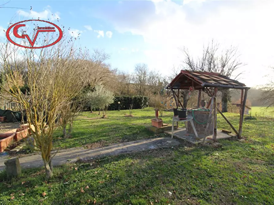 Immagine 16 di Rustico / casale in vendita  in traiana a Terranuova Bracciolini