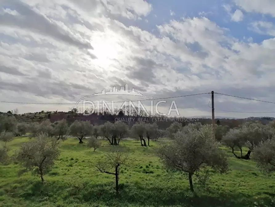 Immagine 7 di Rustico / casale in vendita  a Santa Maria A Monte