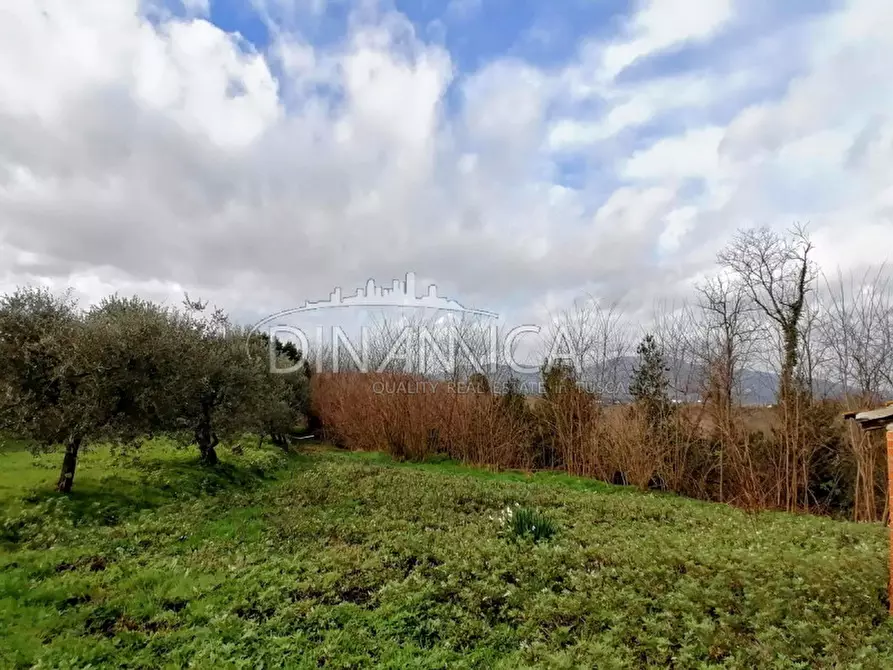 Immagine 8 di Rustico / casale in vendita  a Santa Maria A Monte