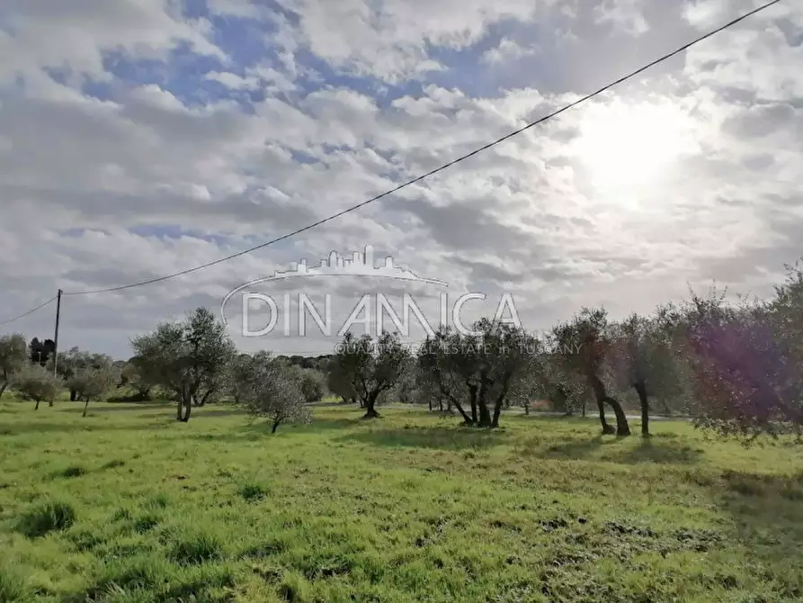 Immagine 14 di Rustico / casale in vendita  a Santa Maria A Monte