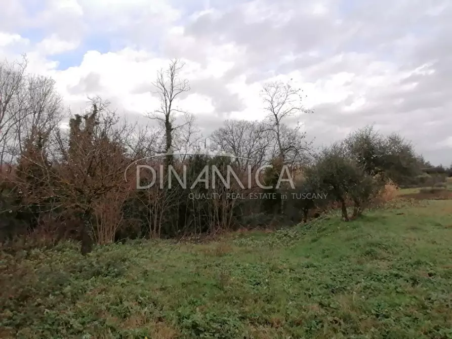 Immagine 29 di Rustico / casale in vendita  a Santa Maria A Monte