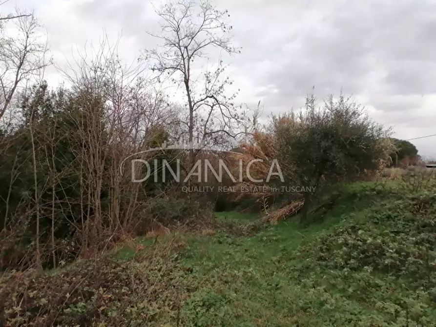 Immagine 30 di Rustico / casale in vendita  a Santa Maria A Monte